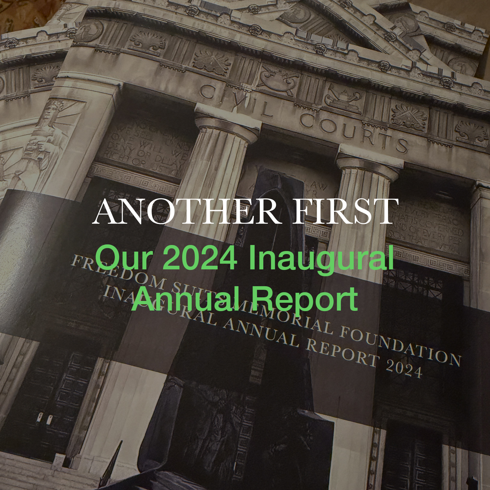 FSMF 2024 Annual Report Cover Image